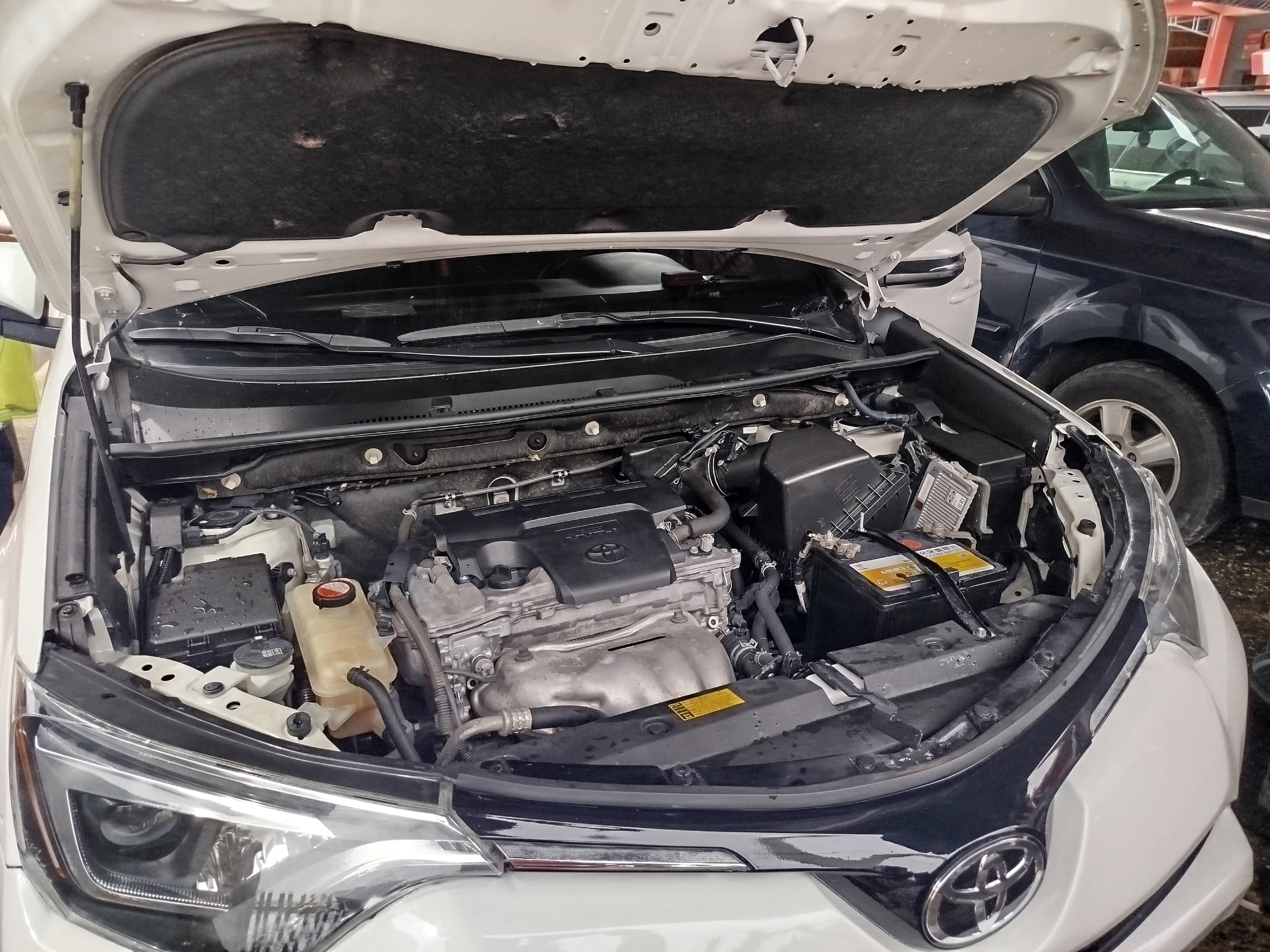 Car Image 4