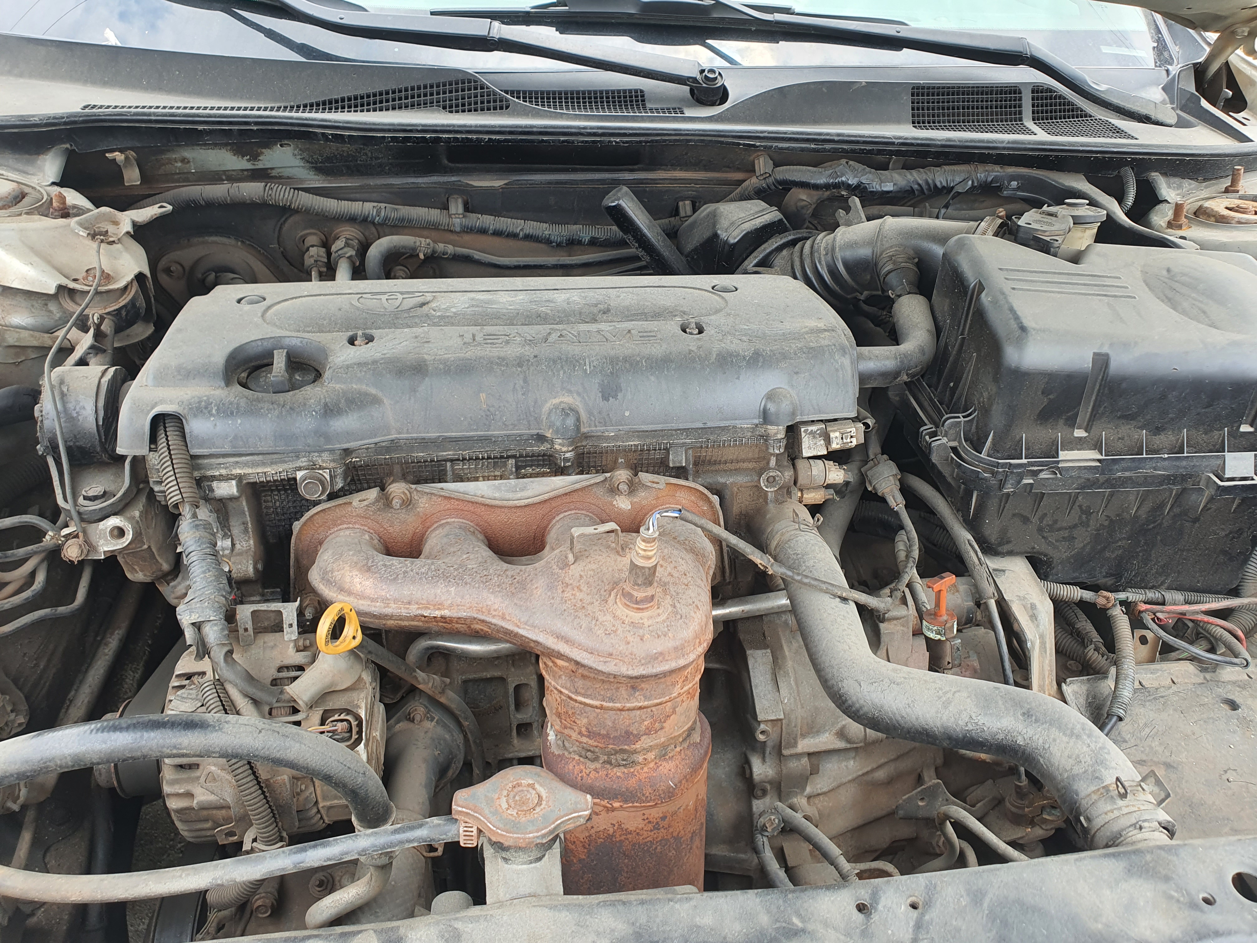 Car Image 4