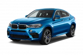 BMW X-Series X6 image 2