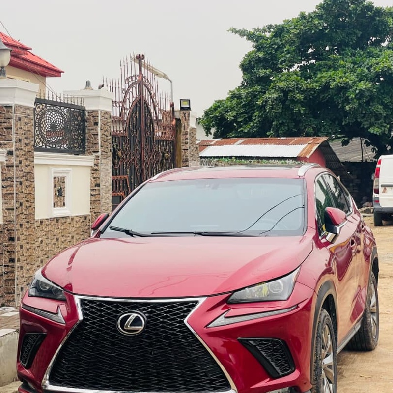 2016 Lexus NX 200t F Sport for Sale In Ikeja Lagos image