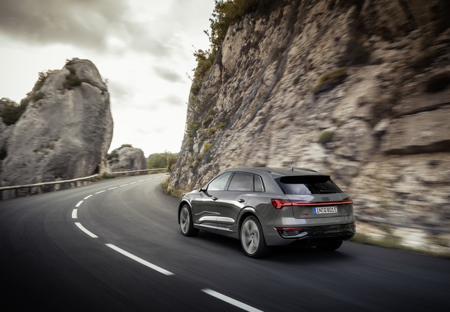 Audi Q8 image 3