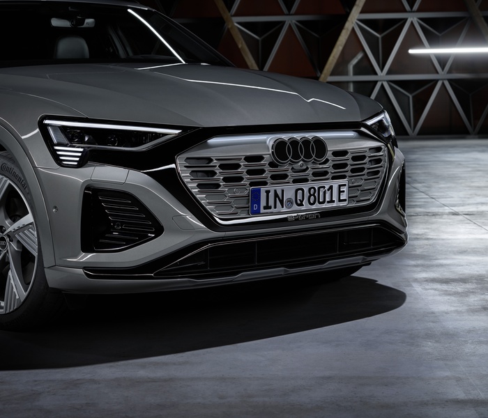 Audi Q8 logo Image