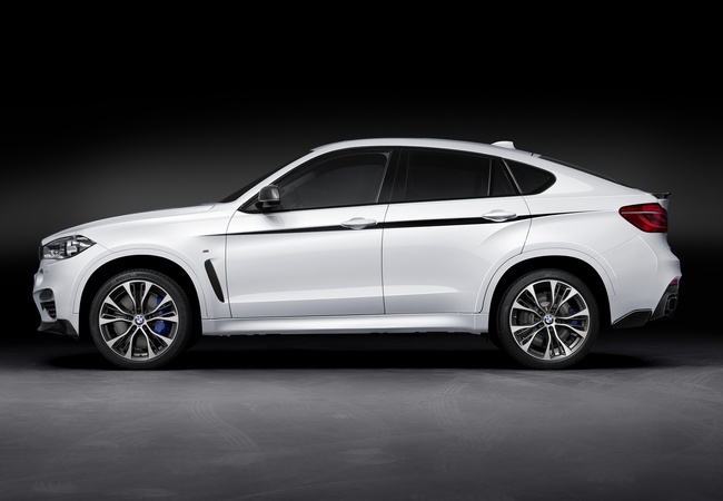 BMW X-Series X6 image 4