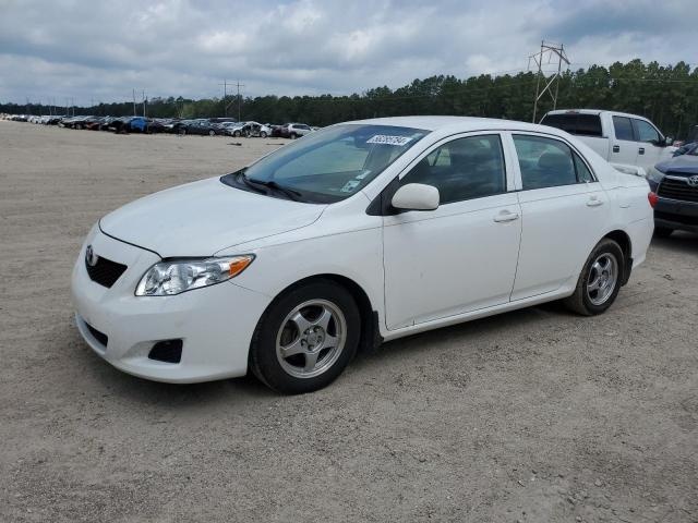 2009 Toyota Corolla  image