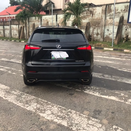 Neatly Naija used Lexus NX200T * 2020 for Sale In Lagos