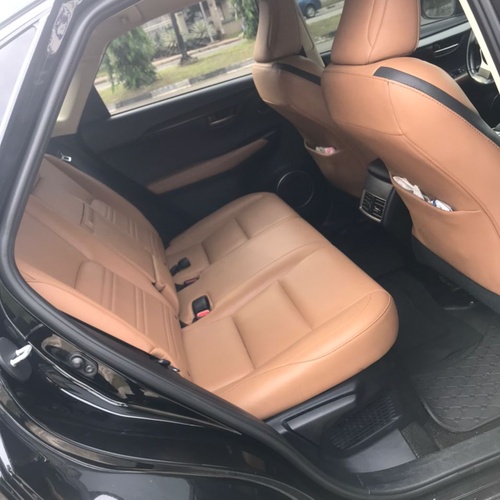 Neatly Naija used Lexus NX200T * 2020 for Sale In Lagos