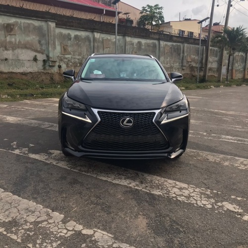 Neatly Naija used Lexus NX200T * 2020 for Sale In Lagos