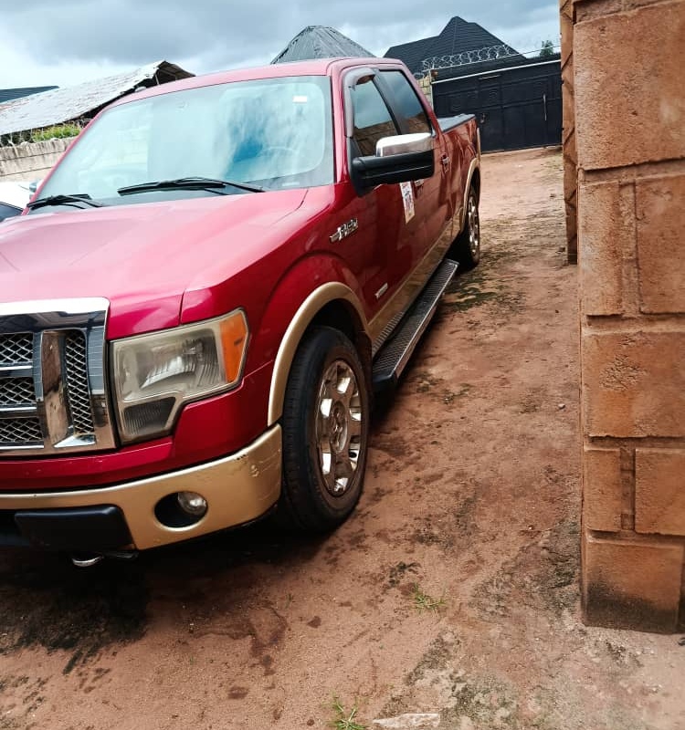 Ford F150 2012 IN DELTA image