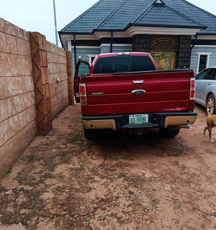 Ford F150 2012 IN DELTA image