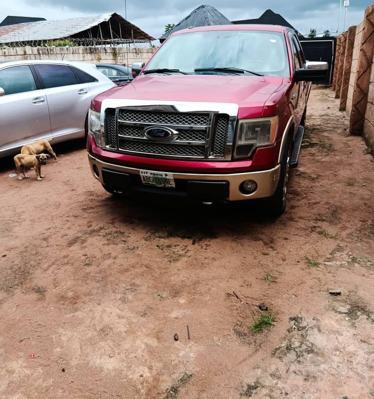 Ford F150 2012 IN DELTA image