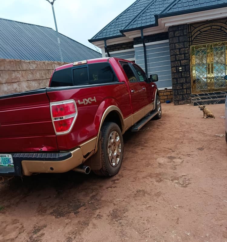 Ford F150 2012 IN DELTA image