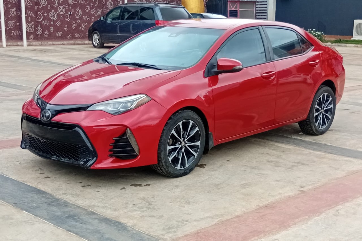 Wisdom Egene Hero Image