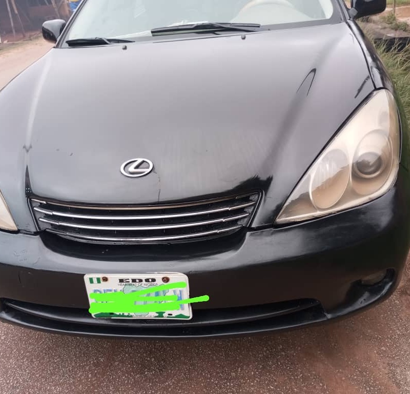 Lexus ES 300 2004 for sale in Edo State image