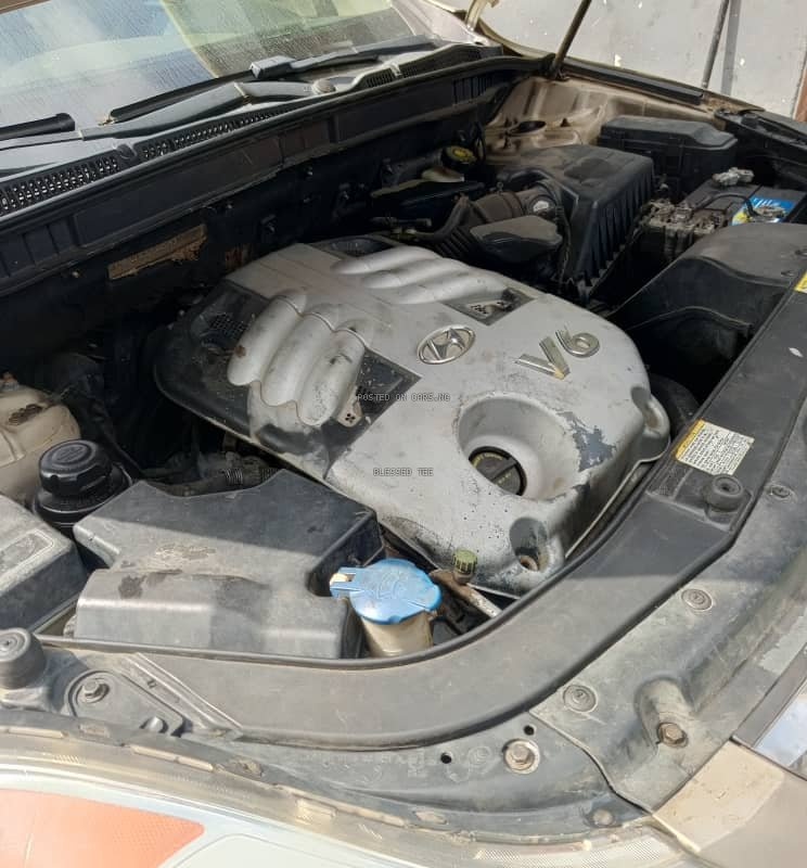 Hyundai Veracruz 2008 for Sale In Lagos image