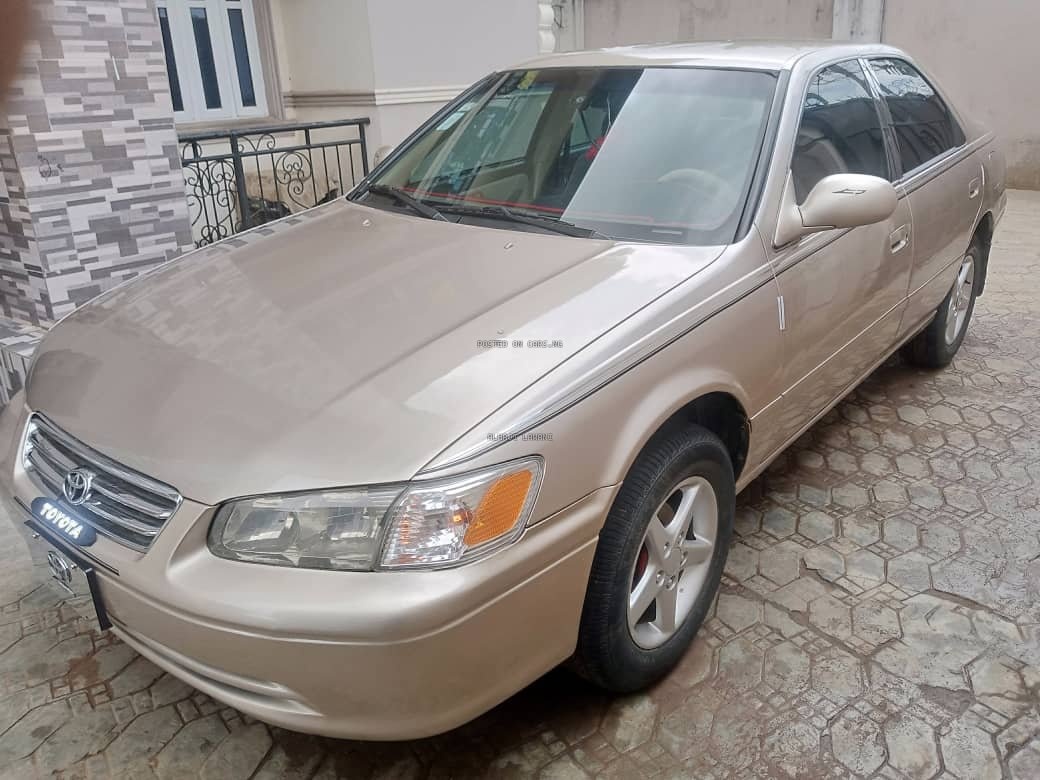 Alhaji Lawani Hero Image