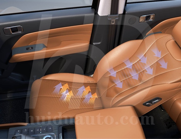 Haval  H9 2025 for Sale In Abuja