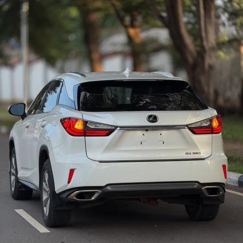 LEXUS RX350 2019 FOR SALE IN ABUJA