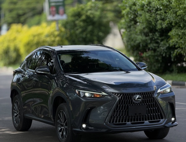 Foreign Used Lexus NX350 2023 in Abuja