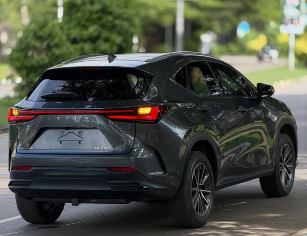 Foreign Used Lexus NX350 2023 in Abuja