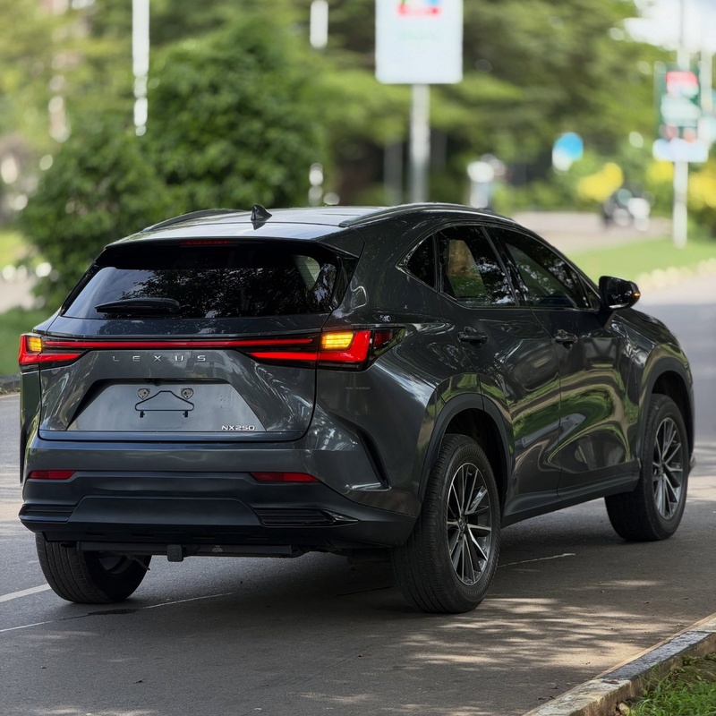 Foreign Used Lexus NX350 2023 in Abuja image