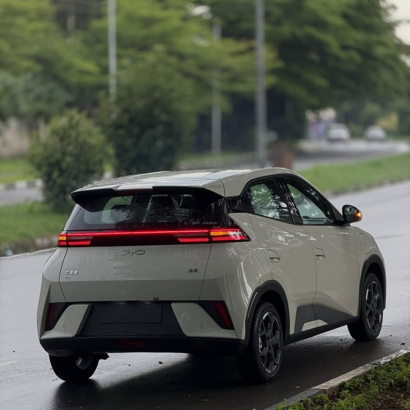 Brand New BYD Seagull Electric 2025⚡ Zero Fuel Cost, Maximum Value image