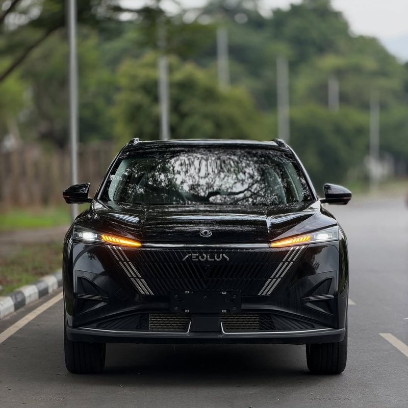 DONGFENG MAGE 2025 FOR SALE image