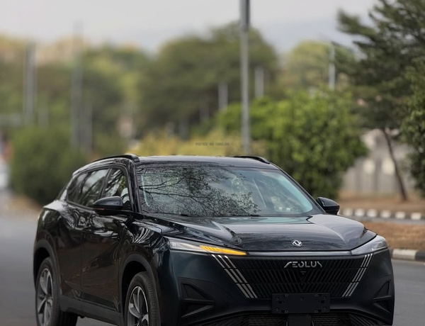 Brand New Dongfeng 2025 for Sale In Abuja