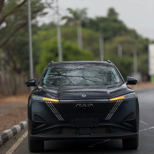 Brand New Dongfeng 2025 for Sale In Abuja