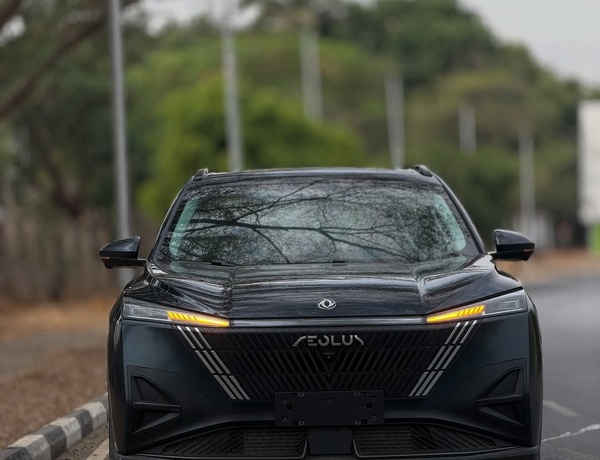 Brand New Dongfeng 2025 for Sale In Abuja