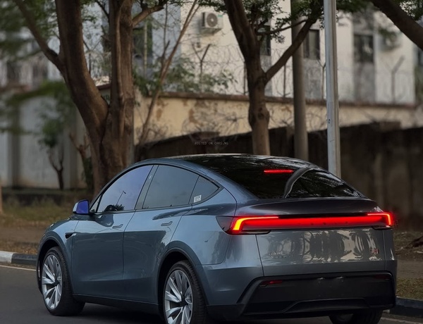 2026 TESLA MODEL Y PLUS  BRAND NEW– Reserve Yours Today!