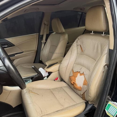 Direct Import Honda Accord 2014 – Ready for Immediate Use