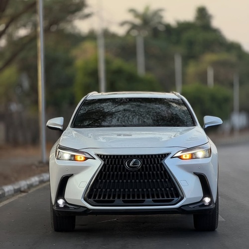Executive Ride! Lexus NX 250 2024 FOREIGN USED