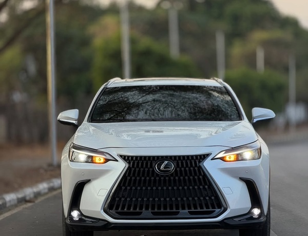 Executive Ride! Lexus NX 250 2024 FOREIGN USED