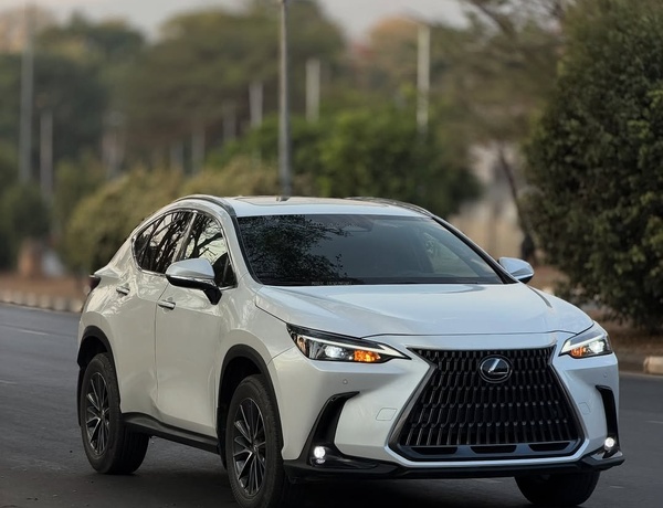 Executive Ride! Lexus NX 250 2024 FOREIGN USED