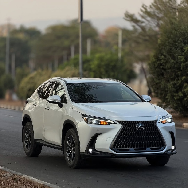 Executive Ride! Lexus NX 250 2024 FOREIGN USED image
