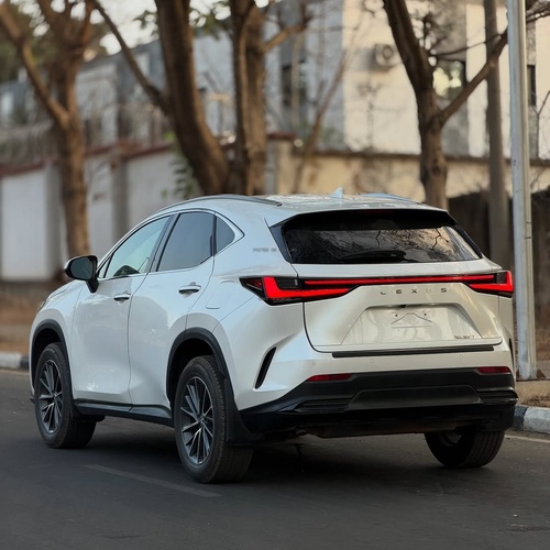 Executive Ride! Lexus NX 250 2024 FOREIGN USED