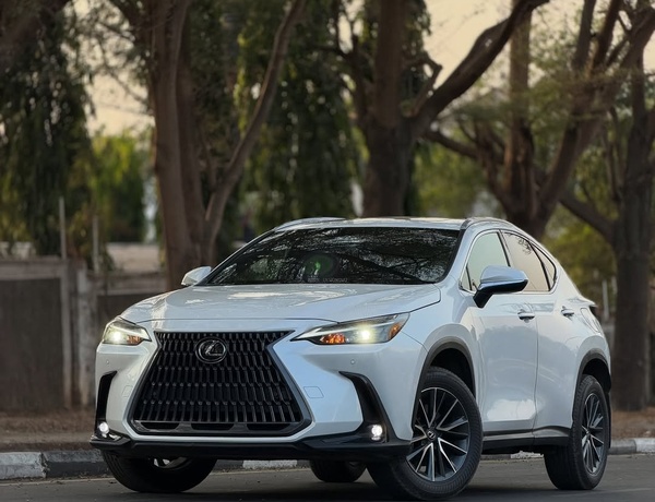 Executive Ride! Lexus NX 250 2024 FOREIGN USED