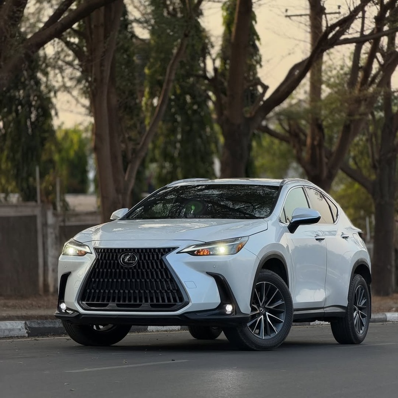 Executive Ride! Lexus NX 250 2024 FOREIGN USED image