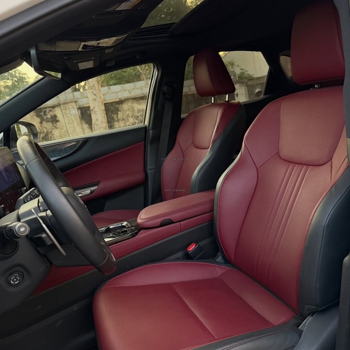 Executive Ride! Lexus NX 250 2024 FOREIGN USED