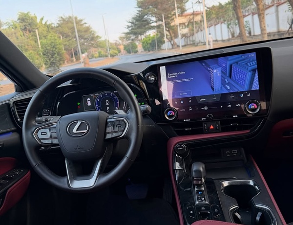 Executive Ride! Lexus NX 250 2024 FOREIGN USED