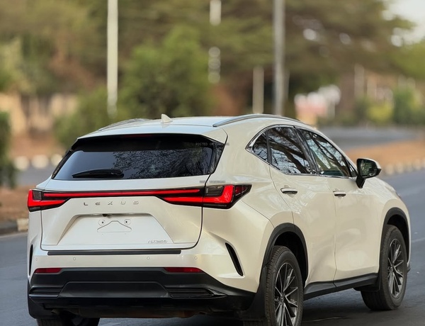 Executive Ride! Lexus NX 250 2024 FOREIGN USED