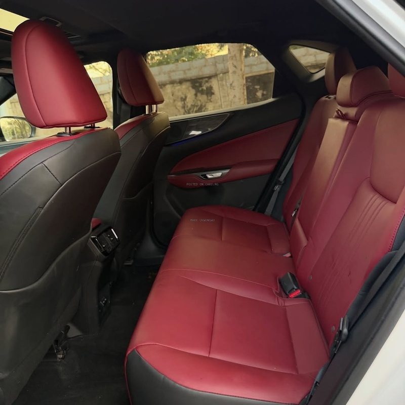 Executive Ride! Lexus NX 250 2024 FOREIGN USED image