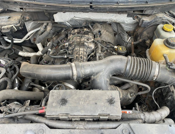 Heavy Duty Pickup Ford F-150 2014  Foreign Used  – Strong & Reliable