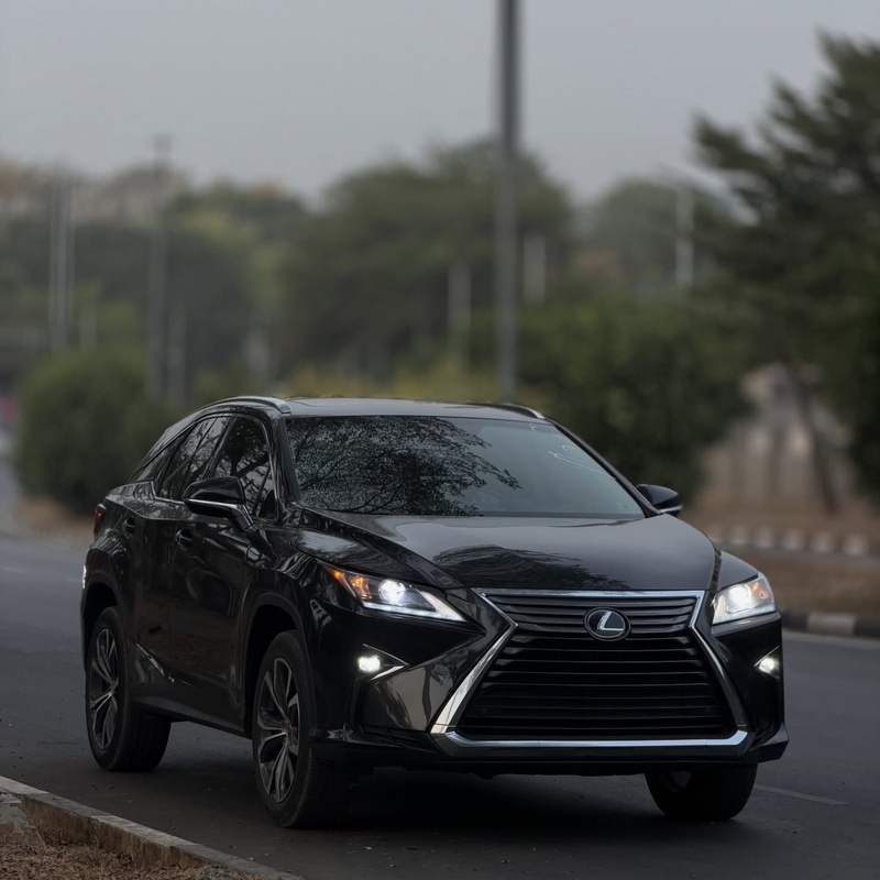 Foreign Used Lexus RX350 2019 for Sale In Abuja image