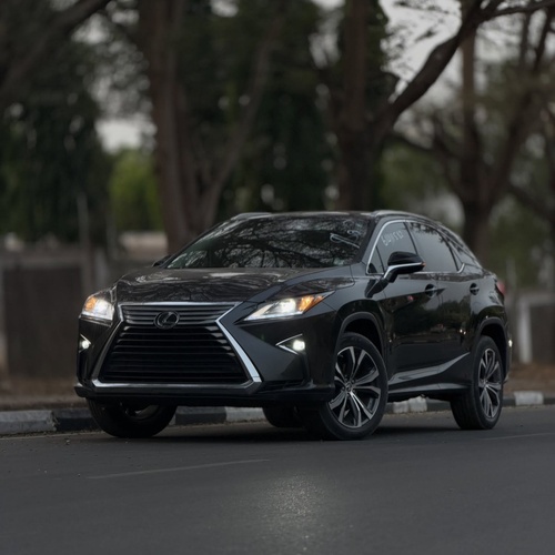Foreign Used Lexus RX350 2019 for Sale In Abuja