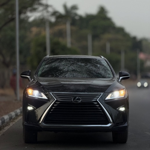 Foreign Used Lexus RX350 2019 for Sale In Abuja