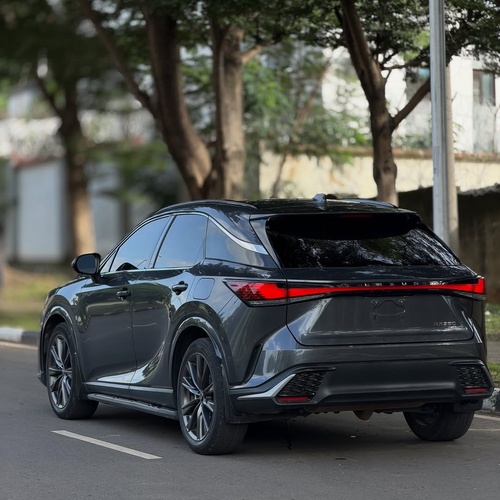 LEXUS RX350 2024 FOR SALE