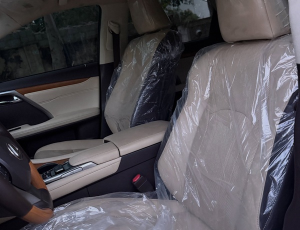 Foreign Used Lexus RX 350 2019 – Abuja