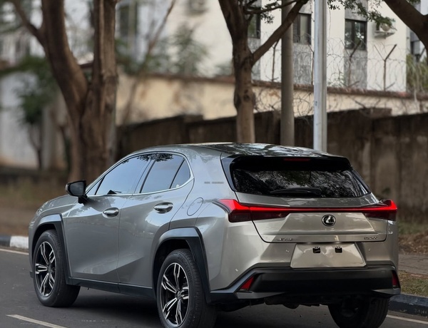 2024 LEXUS UX200 FOREIGN USED  – Luxury Compact SUV, Buy Now