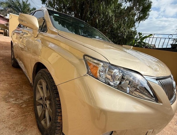 Lexus RX350 2010 for Sale In Edo State